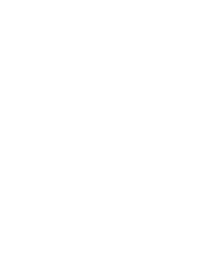 Wood Shed Pizza